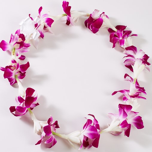 Fresh Hawaiian Leis